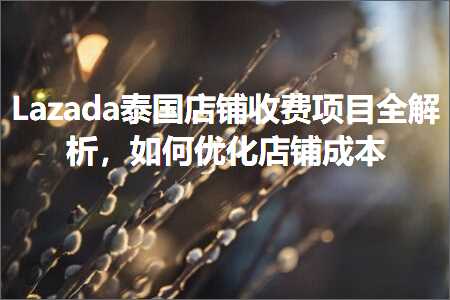 璺ㄥ鐢靛晢鐭ヨ瘑:Lazada娉板浗搴楅摵鏀惰垂椤圭洰鍏ㄨВ鏋愶紝濡備綍浼樺寲搴楅摵鎴愭湰